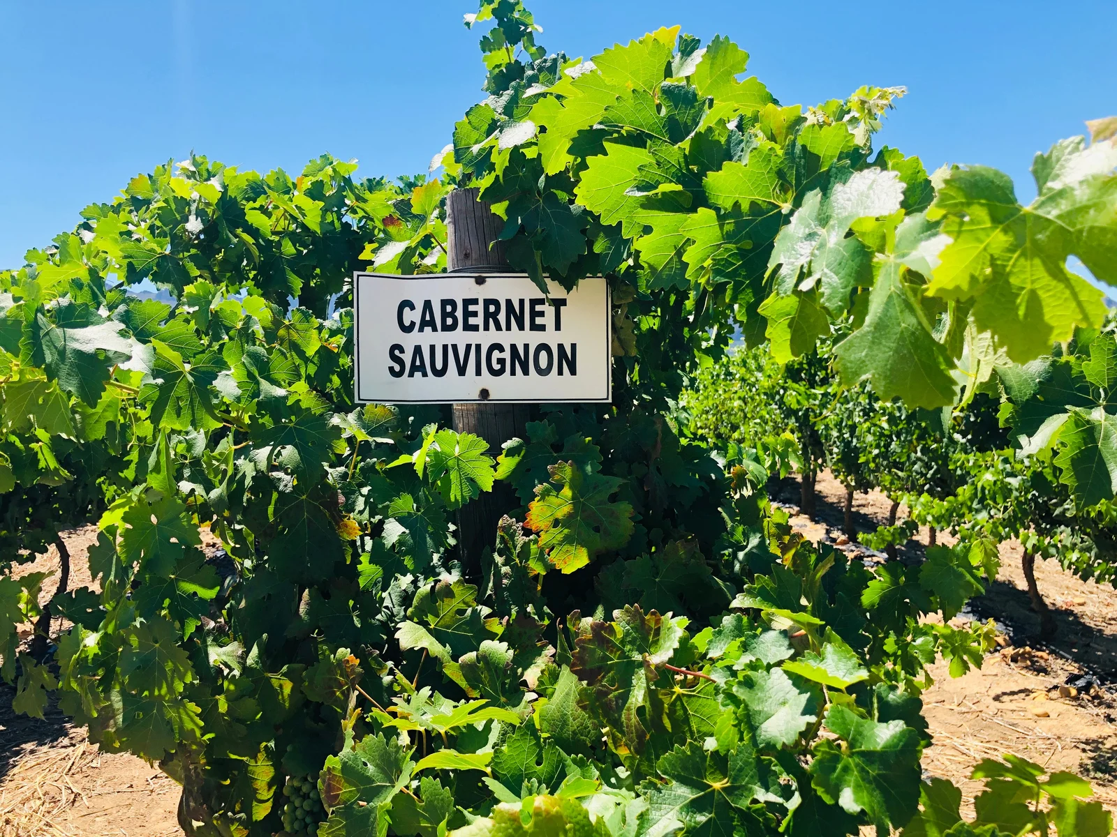 Old Block Cabernet
